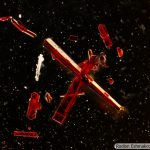 DSC02939-61_LMPl20x045_MoS4