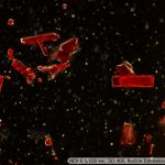 DSC02964