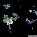 DSC09764-81_LMPlan20x045