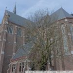 DSCF0036