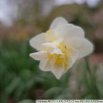 DSCF9482