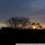 DSCF9953