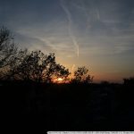 DSC_9013