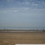 DSC_9066