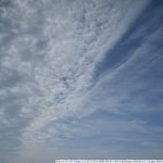 DSC_9071