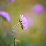 DSC00093