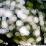 DSC00159