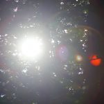 DSC00179
