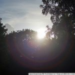 DSC00267