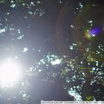DSC00301