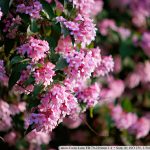 DSC00580