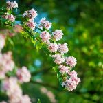 DSC00606
