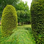 DSC00778