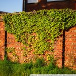 DSC01089