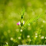 DSC01108