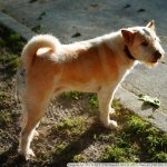 DSC01409