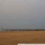DSC03988