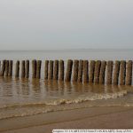 DSC04091