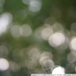 DSC04226