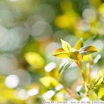 DSC04861