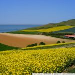DSC07620