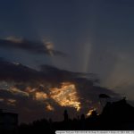 DSC08354