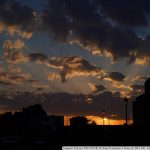 DSC08491