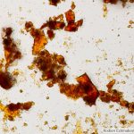 DSC06152-87_FeSbO4_40x075