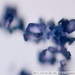 DSC06943