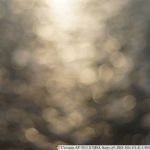 DSC07044