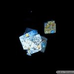DSC07056-82_Pl40x075