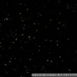 DSC07108