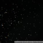 DSC07113