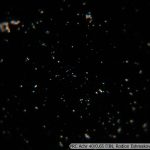 DSC07115