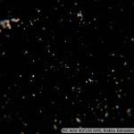 DSC07118
