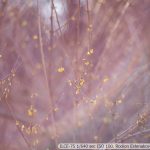DSC08029