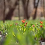 DSC08276-78