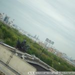 DSC09876