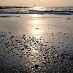 DSCF1248