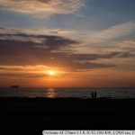 DSCF1387