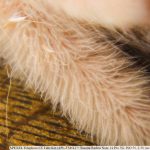 IMG_20260608_121145