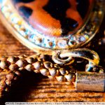 IMG_20260608_121945