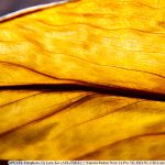 IMG_20260608_122604