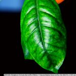 IMG_20260608_122709