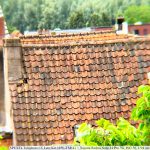 IMG_20260608_124637