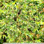 IMG_20260608_124906