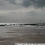 L1820998