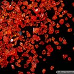 DSC08717-37_MoMn_LOMO_25x008