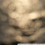 DSCF0862