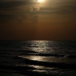 DSCF0889